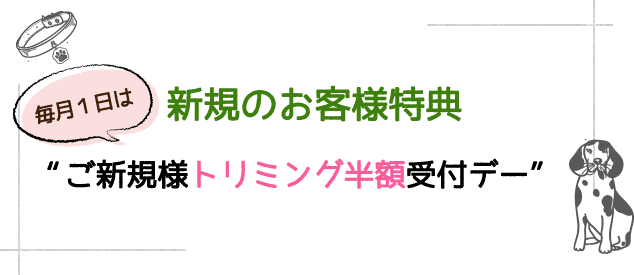 毎月1日は新規のお客様特典 “ご新規様トリミング半額受付デー”